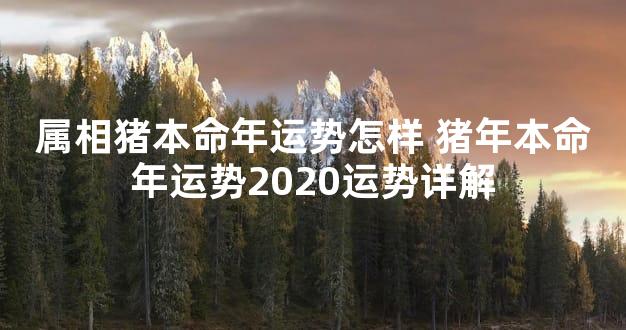 属相猪本命年运势怎样 猪年本命年运势2020运势详解